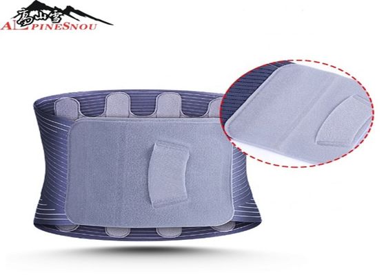 China Multi Color Sport Slimming Magnetic Back Brace Lumbar Waist Support Fish Ribbon Materials supplier